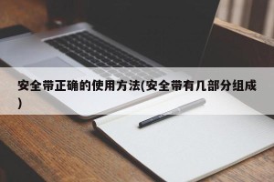 安全带正确的使用方法(安全带有几部分组成)