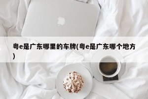 粤e是广东哪里的车牌(粤e是广东哪个地方)