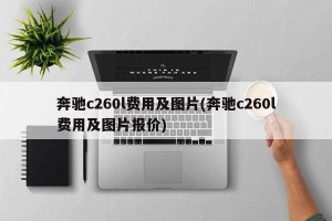 奔驰c260l费用及图片(奔驰c260l费用及图片报价)